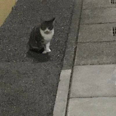 awakuni_iroha's profile picture. ヰ組です！フォローしてくれたら必ずフォロバいきます！神椿大好きです！ ライブは大体行きたいです（希望）