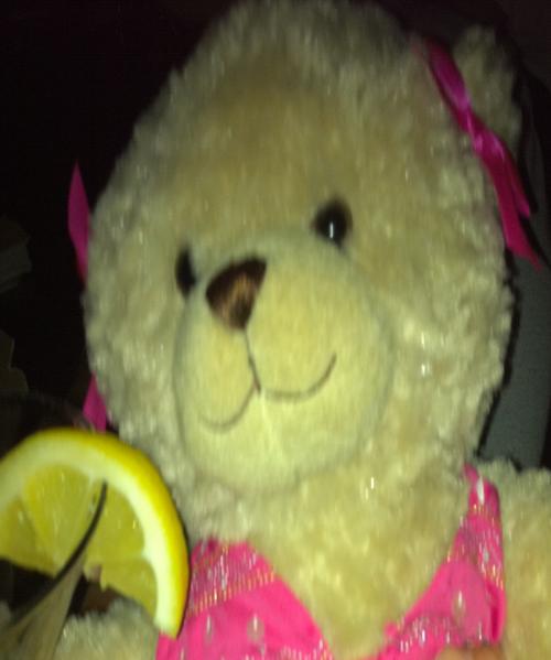Sexy single bear living the ultimate bear diva lifestyle in the city of sun, sparkles, rainbows and unicorns.