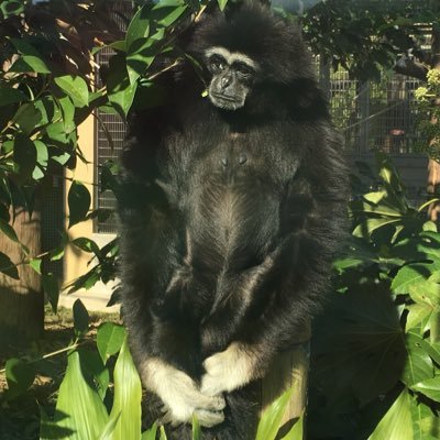 a_z_u_n's profile picture. 