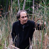 Ruedi (@rupatho) 's Twitter Profile