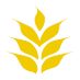 Grain Craft (@grain_craft) Twitter profile photo Grain Craft (@grain_craft) Twitter profile photo