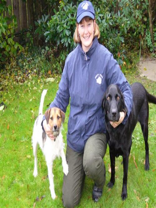 Feistyfidos's profile picture. Dog Behaviourist/Trainer