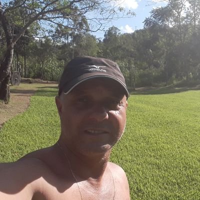 Galo doido