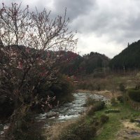SiscuJunyent (@siscuj) 's Twitter Profile