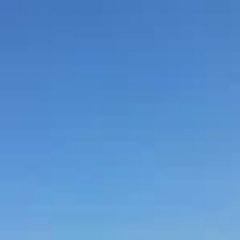 realratebit's profile picture. tweet可发。暂时不换vps。