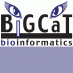BiGCaT Maastricht (@bigcat_um) Twitter profile photo