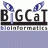 bigcat_UM's profile image