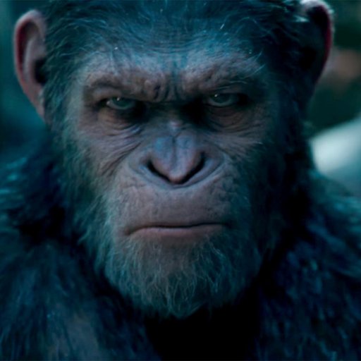 I always thought we were better than humans. Now I know we are just like them.