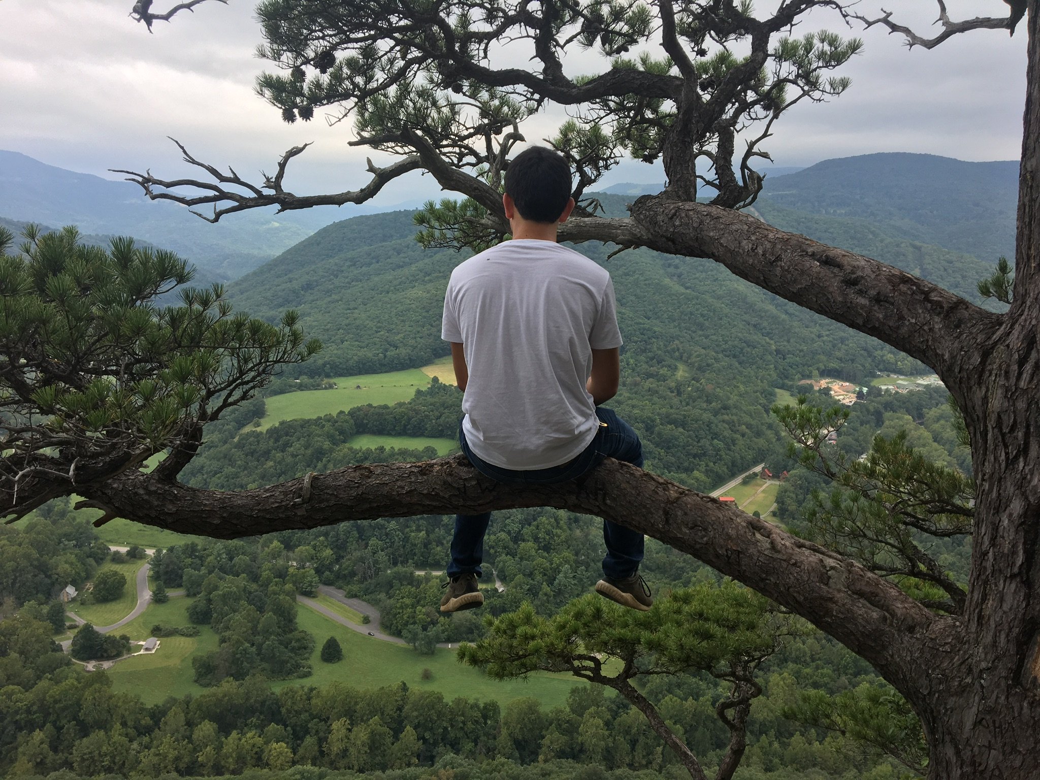 Drew Cutler (DrewCutler5) Twitter