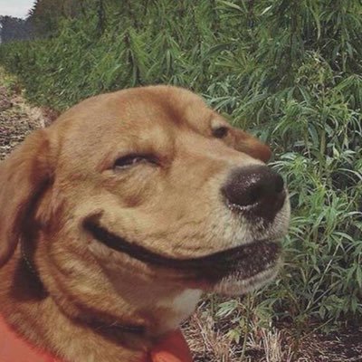 Tigga05099591's profile picture. Tigga🐯 From Da Nine9️⃣👺👹                                                                                    (AKA) Wave God🤴🏾🌊💧