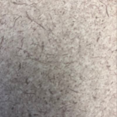 edutea0692's profile picture. 