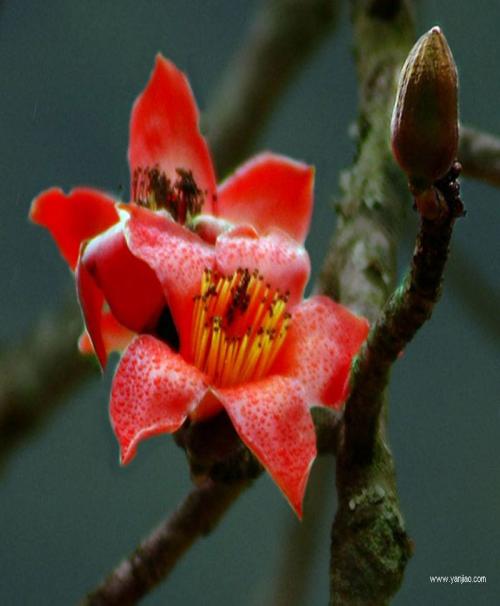 CADCAMsoftware's profile picture. 