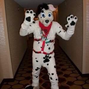 Just a spotty pup in northern Indiana! Firebuff, railfan. AD: @afterdarkspotty Telegram: sparkdalmatian