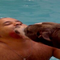 Fabricio Malveira (@fabricio_mal) 's Twitter Profile