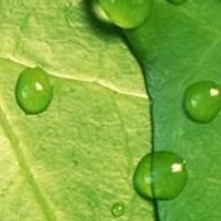 IJBSAM (@ijbsam) 's Twitter Profile