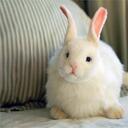 han ye seul - @tmfdlfksp - Twitter