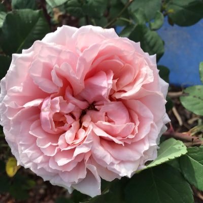 jambsw225's profile picture. 