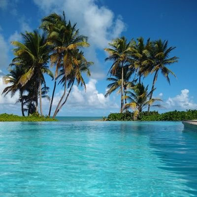 _a_c__'s profile picture. computational cognition. kickboxer. mother. she. speaking for myself.