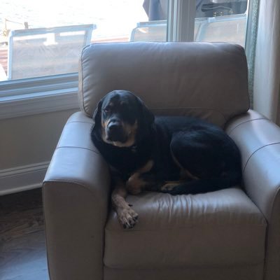 Just_Drew_It6's profile picture. 