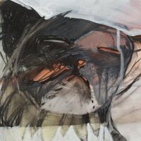corinne duchesne (@corinneduchesne) 's Twitter Profile