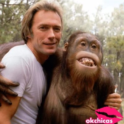 favoritos_tw's profile picture. Usually I RT everything I read here that I like.
I speak English y también hablo español.