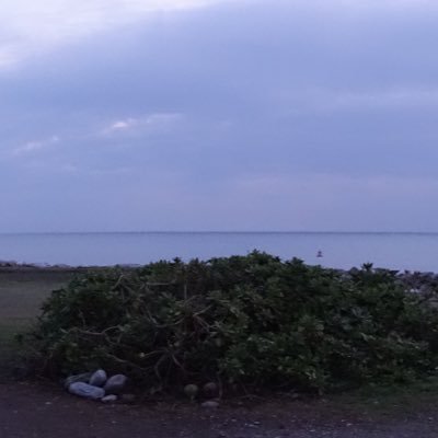 大雨終會落成海洋