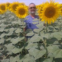 Mehmet Yıldırım (@cemenzar06) 's Twitter Profile Photo Mehmet Yıldırım (@cemenzar06) 's Twitter Profile Photo