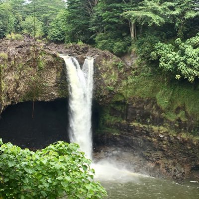 AFreeflow's profile picture. 