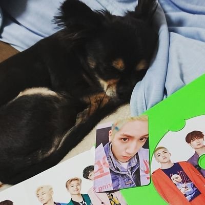 mayukyo_ptg's profile picture. PENTAGON 펜타곤 ウソク ♡우석♡ 寄りオールペン💫🚀 無言フォロー失礼します RP多めです 訳はほぼ翻訳アプリを使用しています