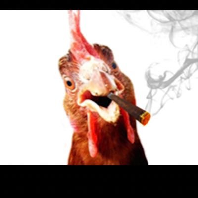 Rrooster6 Profile Picture