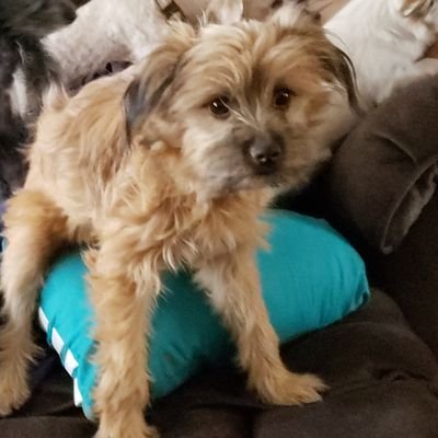 chavez_cassie's profile picture. 27 yrs