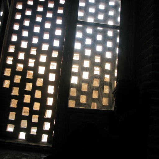 SaamSaammmm's profile picture. 🌿🌍
Plant ecology, Biodiversity