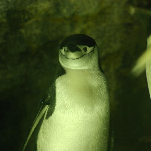 外と中の間 ヘッダーは第二の都市