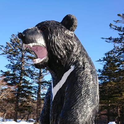 GIDORA's profile picture. HI-FI Killers(g&vo) / Lucille（g&vo) / kaniQkai (g) / Still I Regret（g）ex.死んだ方がまし(g)