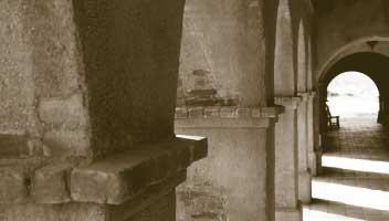 sonoransecret's profile picture. 