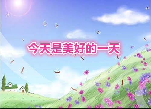 SasSas20862702's profile picture. 