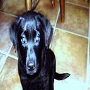 Bart layne - @RaiderCane - Twitter