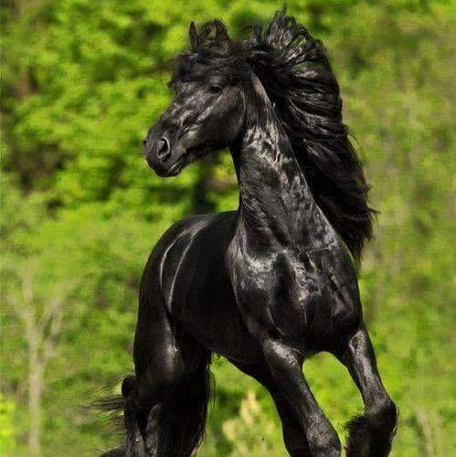 Pandora90344282's profile picture. I