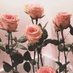 ROSEBUD LIPS (@rosebudlips_) Twitter profile photo ROSEBUD LIPS (@rosebudlips_) Twitter profile photo