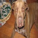 Connie Griggs - @missi1159 - Twitter