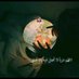 adel yosha (@aburayan12345) Twitter profile photo adel yosha (@aburayan12345) Twitter profile photo