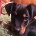 Howell Havard (@brynichboy) Twitter profile photo Howell Havard (@brynichboy) Twitter profile photo