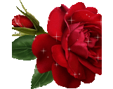 jonathan deleon - @leoncito_jona15 - Twitter