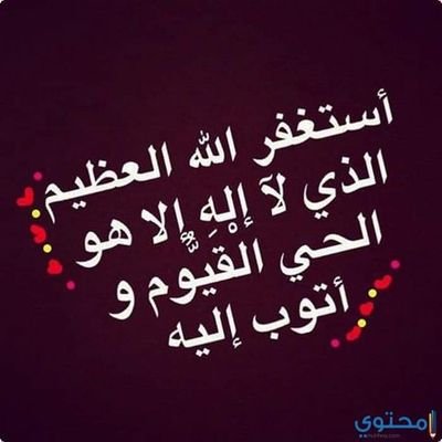 zainshdefat's profile picture. مهندسه في امانه عمان
رئيس قسم