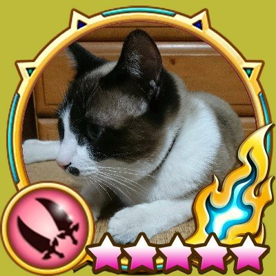 Whitecat7810's profile picture. fpsとvtuber大好き人間
COD apex R6S varolant pubg マイクラ 他サバイバルゲーム etc.
apex💎 valorant練習中！
apexやvalorantのフレンド募集中！！