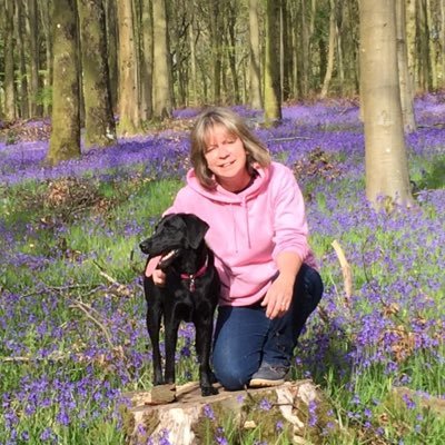 HGF2432's profile picture. Lead physio at The University of Bath, specialist in young athlete physiotherapy management. Chair of the MSK APCP National Committee.