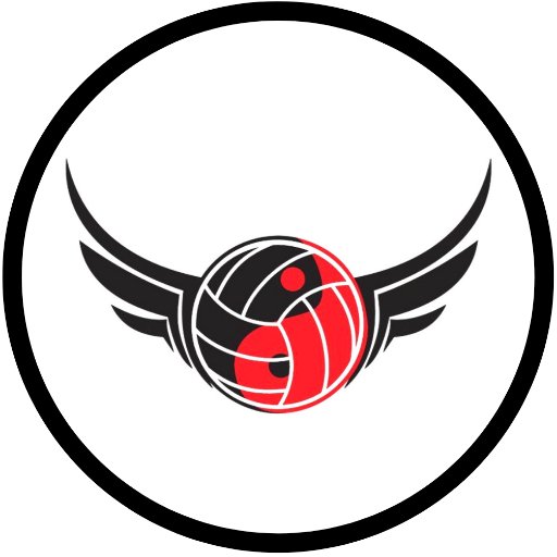 Impact Dynamic Volleyball