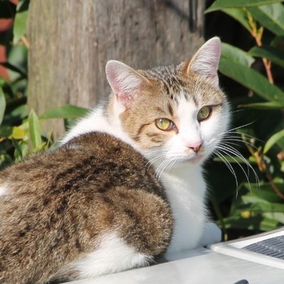 Acacia (@pride_787) / Posts / X