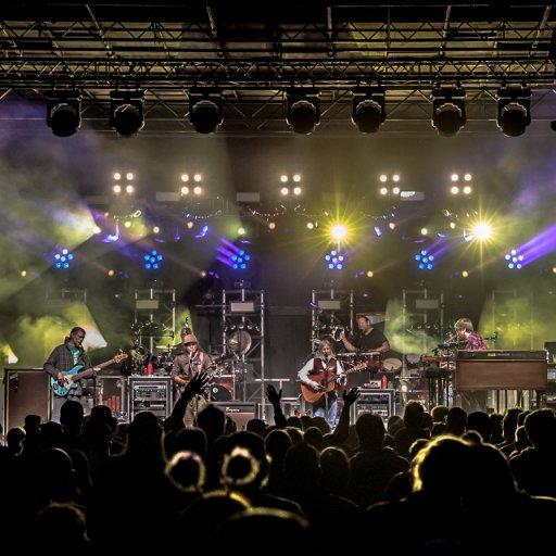 ElementFest's profile picture. British Columbia's premier boutique jam & live music festival! E-mail elementmusicfestival@gmail.com for further inquiries!