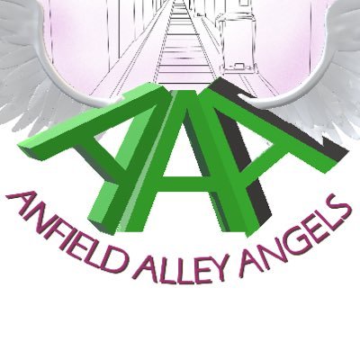 Alley Angels are on a mission to transform the alley ways of Anfield & throughout the north west via advice, guidance & support. Insured by Keep Britain Tidy.